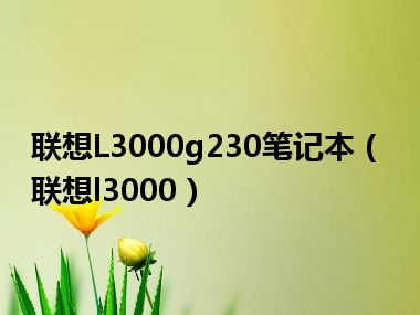 联想L3000g230笔记本（联想l3000）