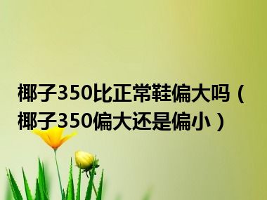 椰子350比正常鞋偏大吗（椰子350偏大还是偏小）