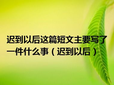 迟到以后这篇短文主要写了一件什么事（迟到以后）