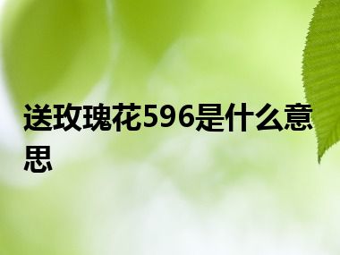 送玫瑰花596是什么意思