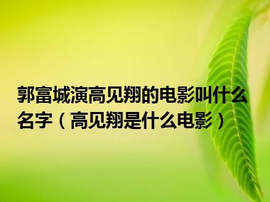 郭富城演高见翔的电影叫什么名字（高见翔是什么电影）