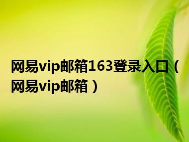 网易vip邮箱163登录入口（网易vip邮箱）