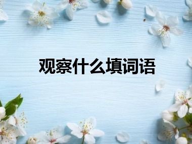 观察什么填词语