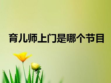 育儿师上门是哪个节目