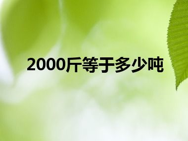 2000斤等于多少吨