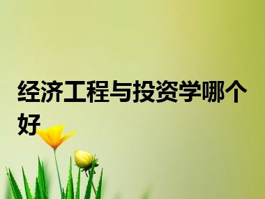 经济工程与投资学哪个好