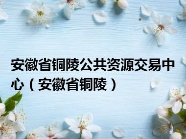 安徽省铜陵公共资源交易中心（安徽省铜陵）