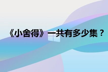 《小舍得》一共有多少集？