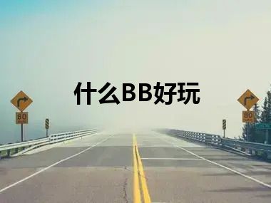 什么BB好玩