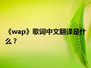 《wap》歌词中文翻译是什么？