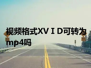 视频格式XVⅠD可转为mp4吗