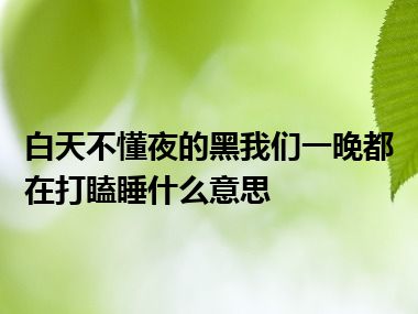 白天不懂夜的黑我们一晚都在打瞌睡什么意思