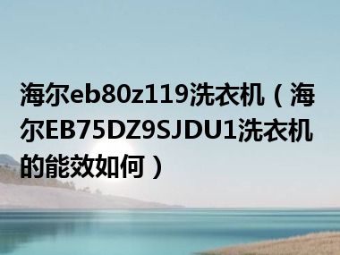 海尔eb80z119洗衣机（海尔EB75DZ9SJDU1洗衣机的能效如何）