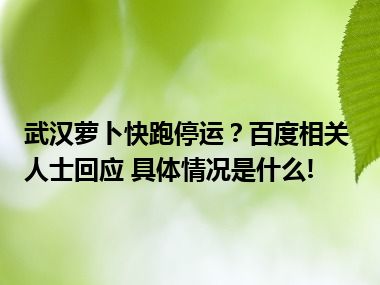 武汉萝卜快跑停运？百度相关人士回应 具体情况是什么!