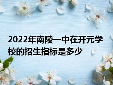 2022年南陵一中在开元学校的招生指标是多少