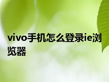 vivo手机怎么登录ie浏览器