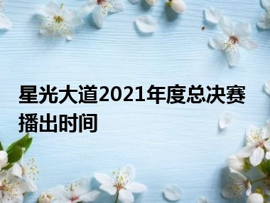 星光大道2021年度总决赛播出时间