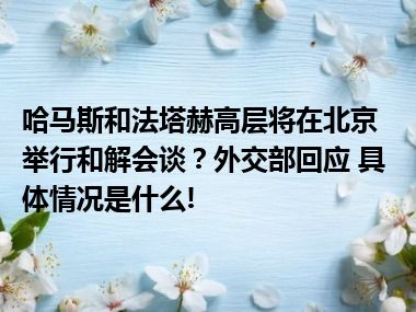 哈马斯和法塔赫高层将在北京举行和解会谈？外交部回应 具体情况是什么!