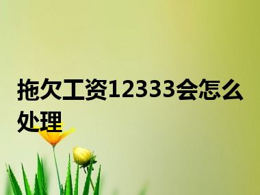 拖欠工资12333会怎么处理