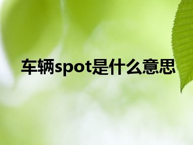 车辆spot是什么意思