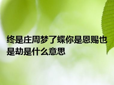 终是庄周梦了蝶你是恩赐也是劫是什么意思