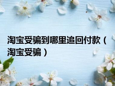 淘宝受骗到哪里追回付款（淘宝受骗）