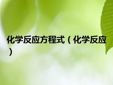 化学反应方程式（化学反应）