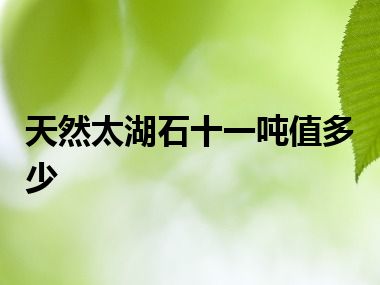 天然太湖石十一吨值多少