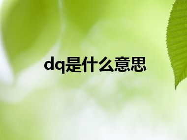 dq是什么意思