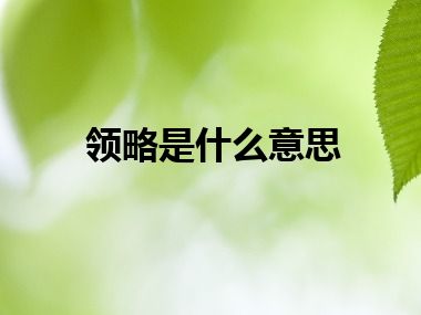 领略是什么意思