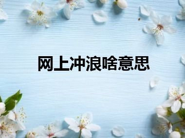 网上冲浪啥意思