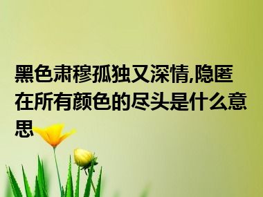 黑色肃穆孤独又深情,隐匿在所有颜色的尽头是什么意思