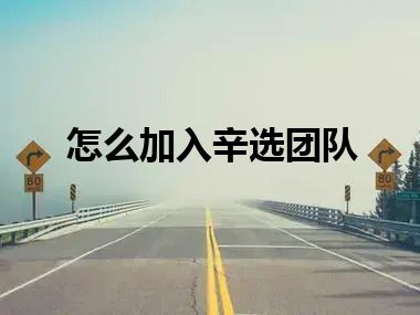 怎么加入辛选团队