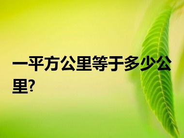 一平方公里等于多少公里?