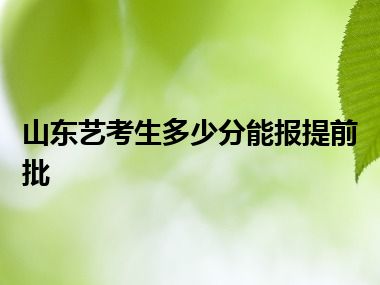 山东艺考生多少分能报提前批