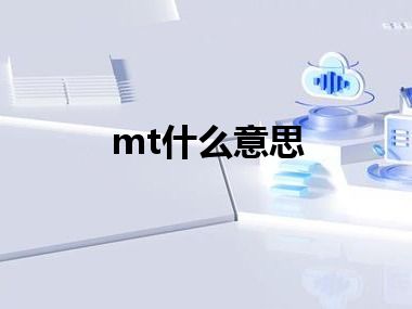 mt什么意思