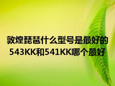 敦煌琵琶什么型号是最好的 543KK和541KK哪个最好