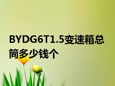 BYDG6T1.5变速箱总筒多少钱个