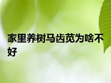 家里养树马齿苋为啥不好