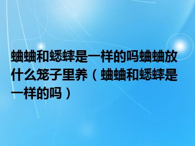 蛐蛐和蟋蟀是一样的吗蛐蛐放什么笼子里养（蛐蛐和蟋蟀是一样的吗）