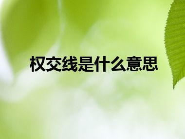 权交线是什么意思