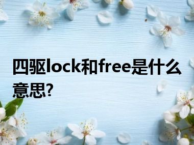 四驱lock和free是什么意思?