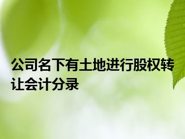 公司名下有土地进行股权转让会计分录