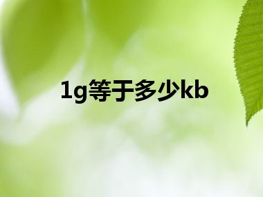 1g等于多少kb