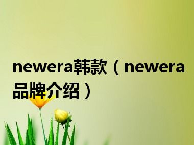 newera韩款（newera品牌介绍）