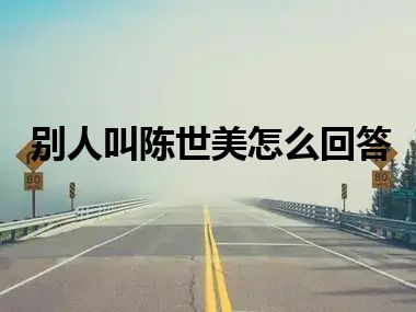 别人叫陈世美怎么回答