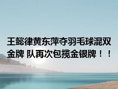 王懿律黄东萍夺羽毛球混双金牌 队再次包揽金银牌！！