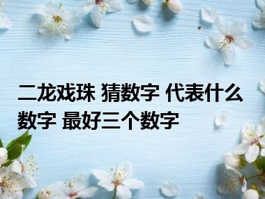 二龙戏珠 猜数字 代表什么数字 最好三个数字