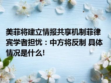 美菲将建立情报共享机制菲律宾学者担忧：中方将反制 具体情况是什么!