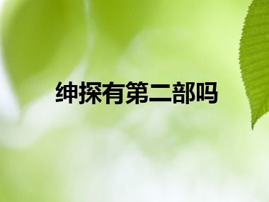 绅探有第二部吗